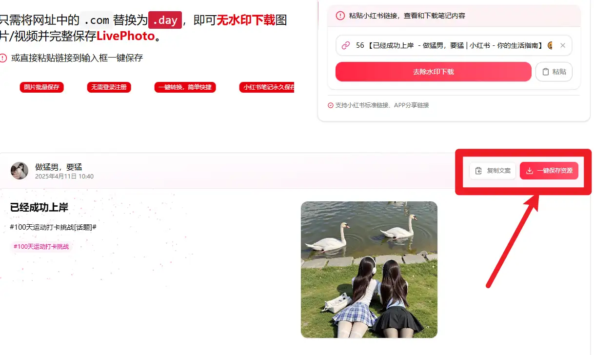 小红书无水印解析下载神器,30秒保存笔记原图视频