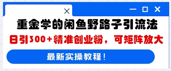 重金学的闲鱼野路子引流法,日引300+精准创业粉,可矩阵放大-青年云网创—高质量项目商城