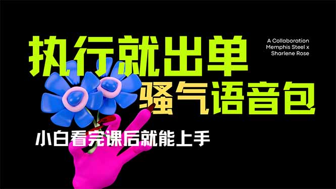 （14170期）爆火全网的开车导航骚气语音包,只要执行就出单，小白看完课程就能实操…-青年云网创—高质量项目商城