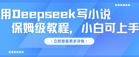 用Deepseek写小说，保姆级教程，小白可实操-青年云网创—高质量项目商城