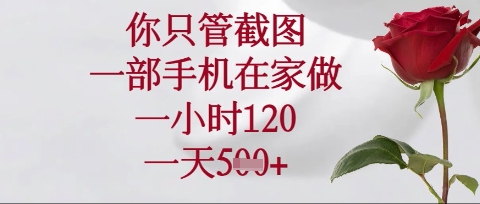 你只管截图，一部手机在家操作，一小时120.一天5张【揭秘】-青年云网创—高质量项目商城